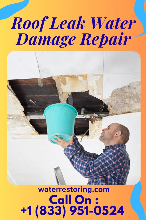 Roof Leak Water Damage Repair in Maltby, WA